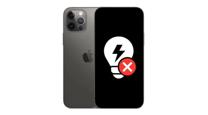 Sửa Mất Hiển Thị iPhone 12 Pro Max
